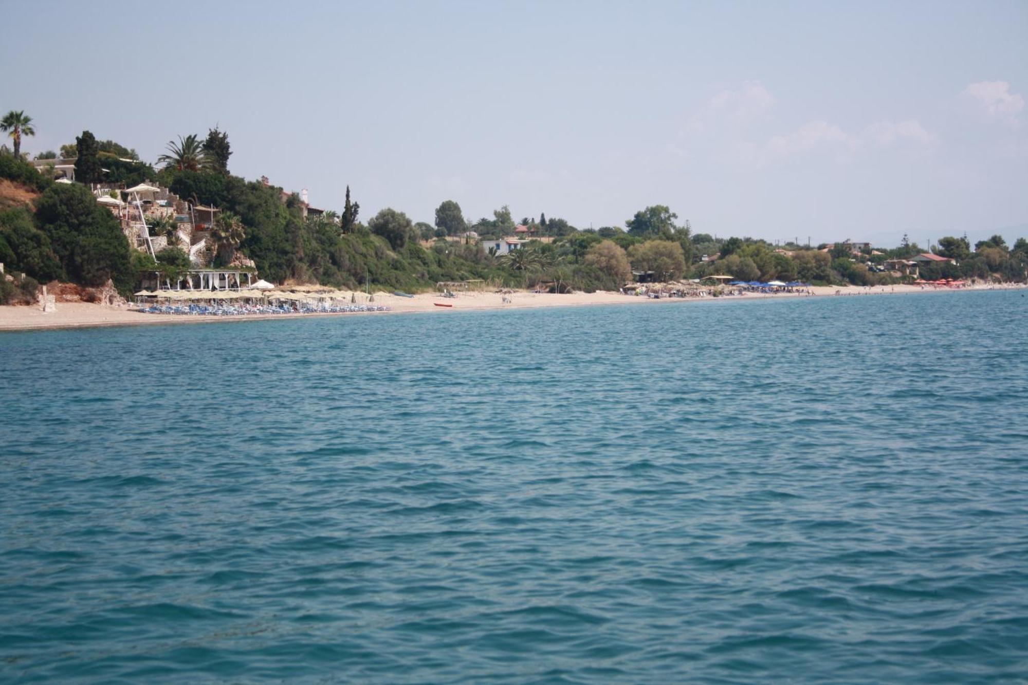 חראני Iris Apartments מראה חיצוני תמונה