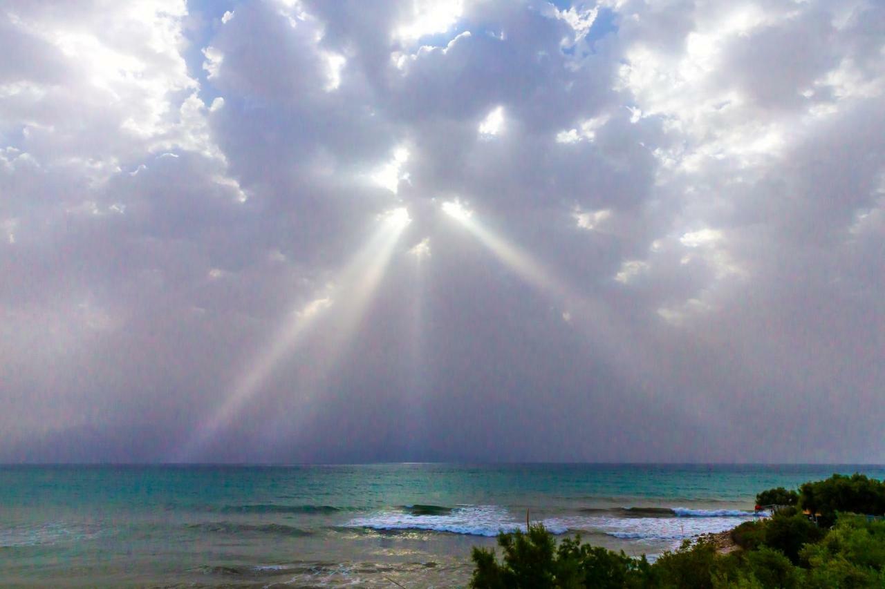 חראני Iris Apartments מראה חיצוני תמונה